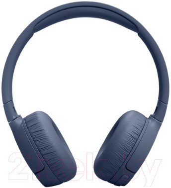 Беспроводные наушники JBL Tune 670NC / T670NCBLU