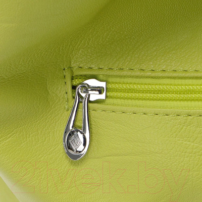 Набор сумок Passo Avanti 728-X203-SLB (2шт, светло-зеленый)