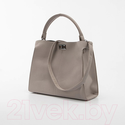 Набор сумок Passo Avanti 722-812-LGR (2шт, светло-серый)