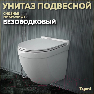 Купить Унитаз подвесной Teymi Iva / T40601 в Могилеве