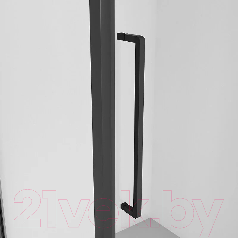 Душевой уголок Niagara 120x90x195 NG-85-12AB-A90B-34 (черный матовый/прозрачное стекло) — фото 2