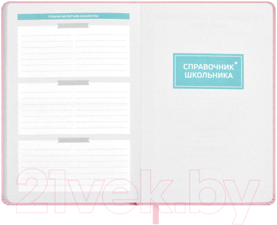 Планинг Феникс+ Плонже / 66495 (черный)