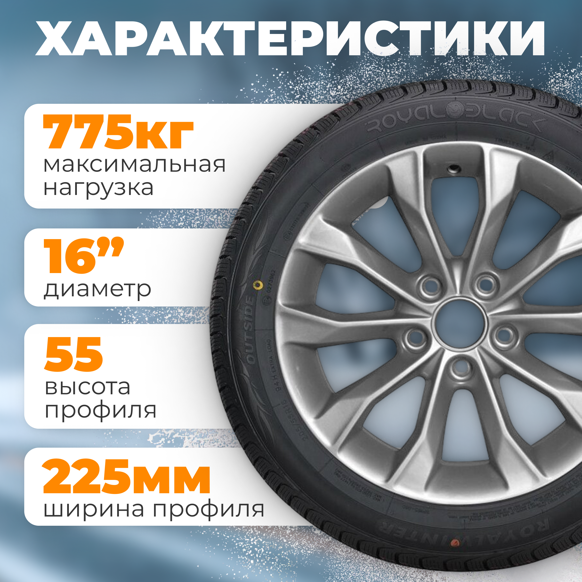 Зимняя шина ROYAL BLACK Royal Winter 225/55R16 99H XL — фото 3