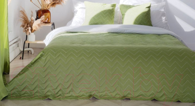 Набор текстиля для спальни Pasionaria Сканди 220x240 с подушками 40x60 (зеленый)