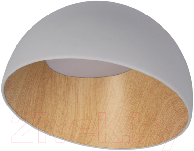 Потолочный светильник Loftit Egg 10197/350 (серый)