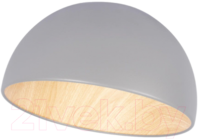 Потолочный светильник Loftit Egg 10197/350 (серый)