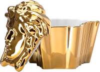 Шкатулка Versace Gypsy Gold / 14494-426157-24995 (золото) - 