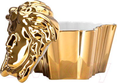 Шкатулка Versace Gypsy Gold / 14494-426157-24995 (золото)