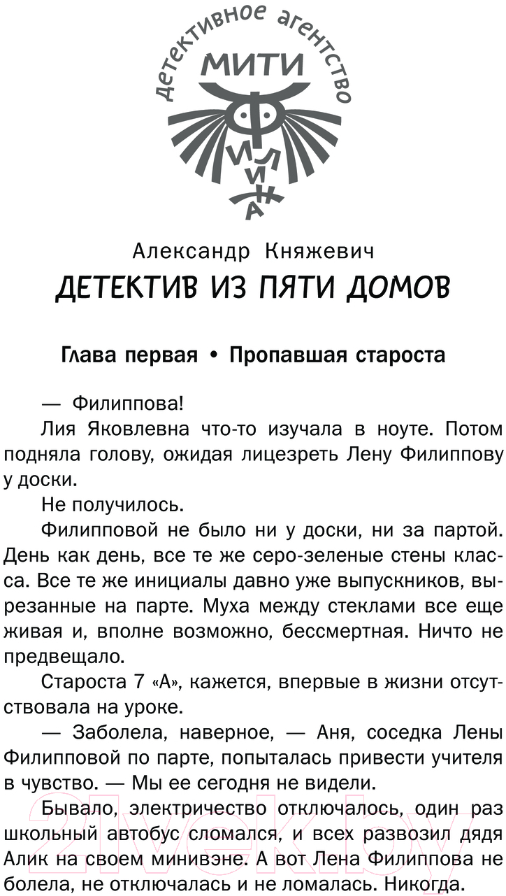 Художественная книга АСТ Детектив из Пяти домов / 9785171626068 (Родионов И.В., Жук И.С., Княжевич А.) — фото 2