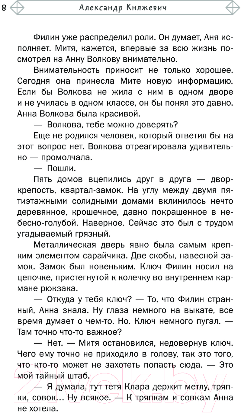 Художественная книга АСТ Детектив из Пяти домов / 9785171626068 (Родионов И.В., Жук И.С., Княжевич А.) — фото 6