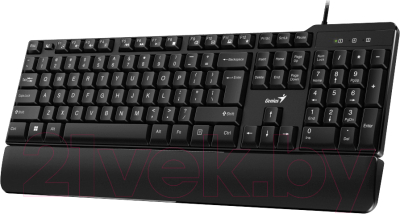 Клавиатура Genius KB-100XP (черный)