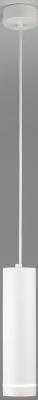 Потолочный светильник Elektrostandard DLR023 12W 3000K (белый матовый)