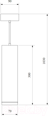 Потолочный светильник Elektrostandard DLR023 12W 3000K (белый матовый)