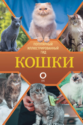 Энциклопедия АСТ Кошки. Популярный иллюстрированный гид, твердая обложка (Непомнящий Николай) - 