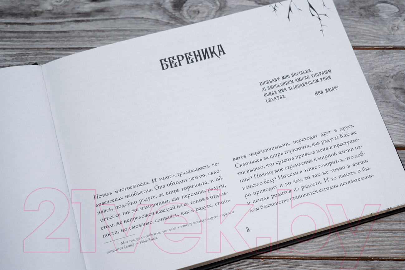 Художественная книга АСТ Падение дома Ашеров / 9785171610968 (Аллан По Эдгар) — фото 4
