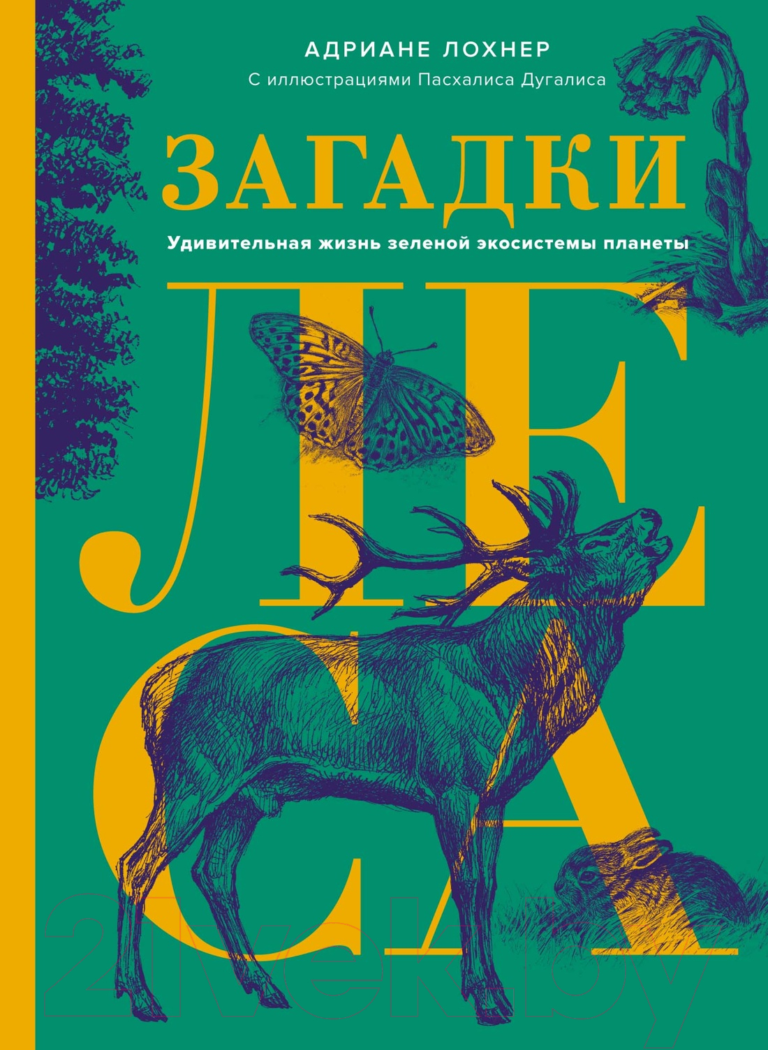 Нехудожественная книга КоЛибри Загадки леса / 9785389250369 (Лохнер А.)
