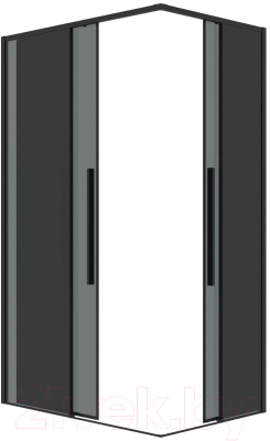 Душевая дверь Grossman Galaxy 110x195 / 1/2.K33.01.11.21.10 (черный матовый/тонированное стекло)