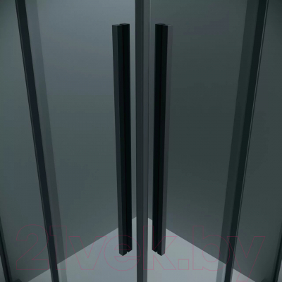 Душевая дверь Grossman Galaxy 110x195 / 1/2.K33.01.11.21.10 (черный матовый/тонированное стекло)