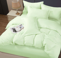 Комплект постельного белья PANDORA №1x1 12-0109 Светлая мята Евро-стандарт (микрофибра-страйп) - 