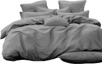 Комплект постельного белья PANDORA №1x1 17-1502 Серый 2сп с европростыней (микрофибра-страйп) - 