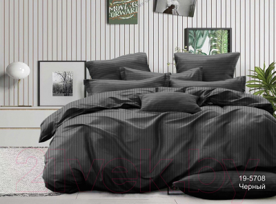 Комплект постельного белья PANDORA №1x1 19-5708 Черный 2сп с европростыней (микрофибра-страйп)