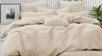 Комплект постельного белья PANDORA №1x1 12-0304 Сливочно-молочный 2сп с европростыней (микрофибра) - 