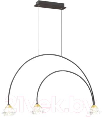 

Люстра Odeon Light, Arco 4100/3