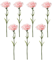 Искусственные цветы Swed house Foxhol 64.01.2010 (7шт, розовый/зеленый) - 
