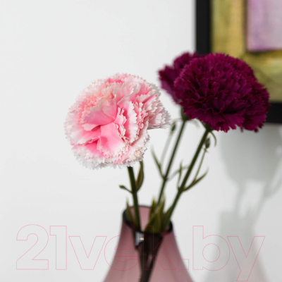 Искусственные цветы Swed house Foxhol 64.01.2010 (7шт, розовый/зеленый)