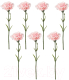 Искусственные цветы Swed house Foxhol 64.01.2010 (7шт, розовый/зеленый) - 