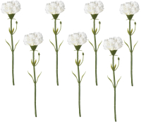 Искусственные цветы Swed house Foxhol 64.01.1635 (7шт, белый) - 