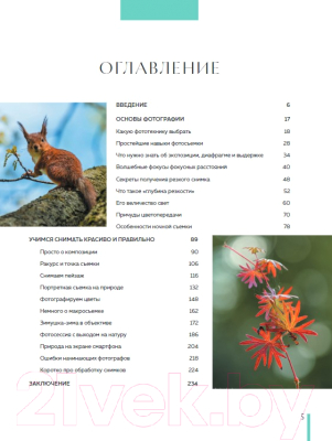 Книга Бомбора Фотография. Руководство по съемке природных сюжетов (Лысиков А.Б.)