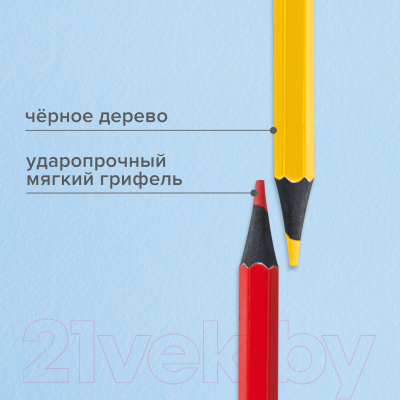 Набор цветных карандашей Brauberg 181856 (12цв)