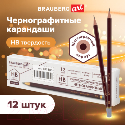 Набор простых карандашей Brauberg Art Premiere / 880750 (12шт)