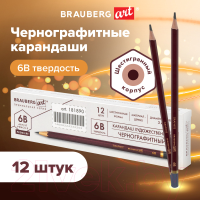 Набор простых карандашей Brauberg Art Premiere / 880754 (12шт)