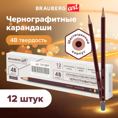 Набор простых карандашей Brauberg Art Premiere / 880753 (12шт)