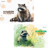 Набор альбомов для рисования Brauberg Little Raccoon / 106735 (2шт) - 