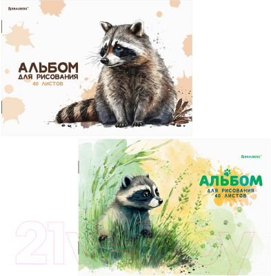 Набор альбомов для рисования Brauberg Little Raccoon / 106735 (2шт)