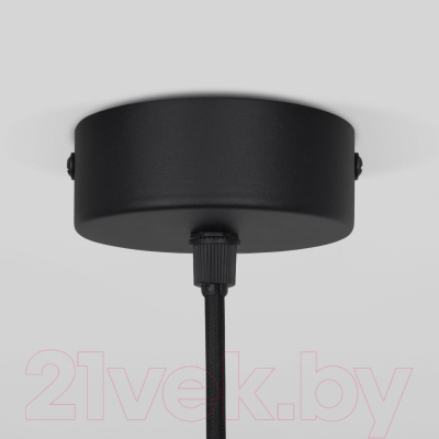 Потолочный светильник Elektrostandard Grollo 50120/1 (черный)