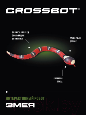 Робот Crossbot Змея / 870925