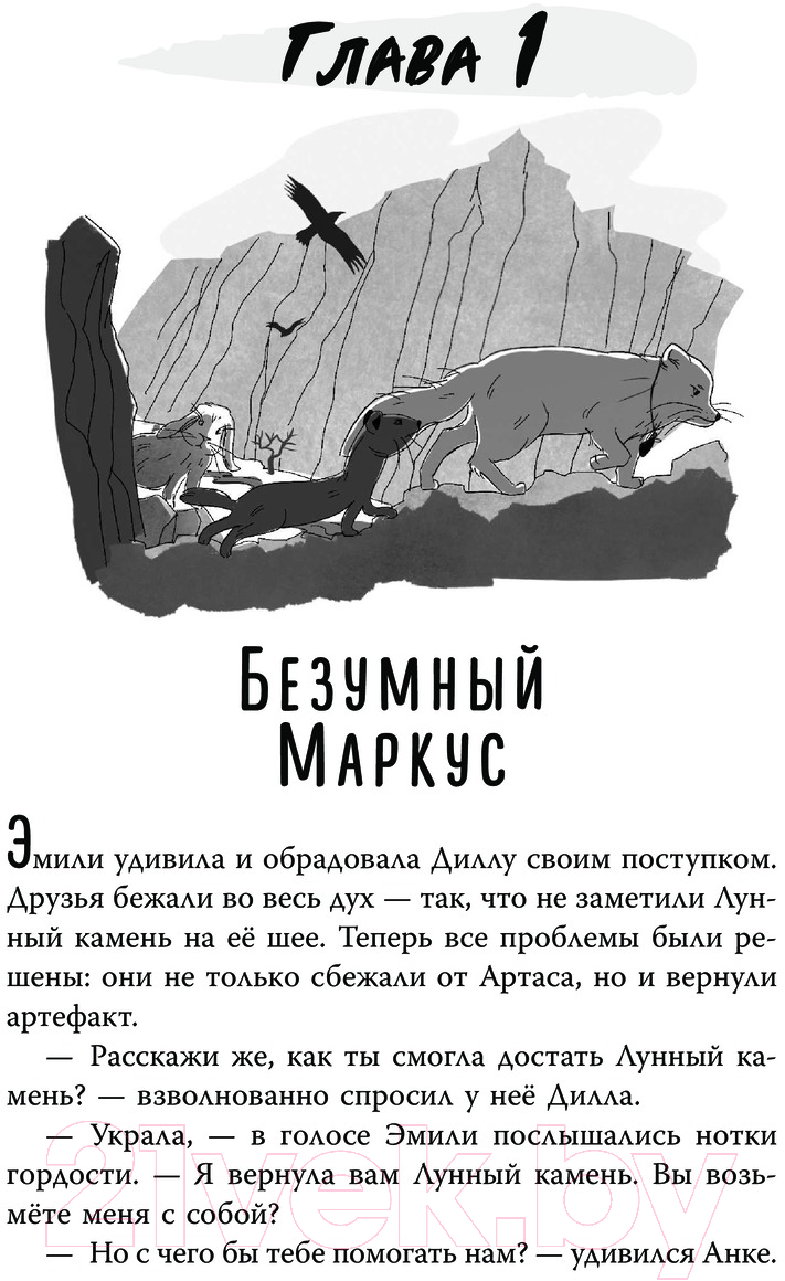 Художественная книга АСТ Карта Волшебного леса / 9785171597863 (Цзятун Ч.) — фото 2
