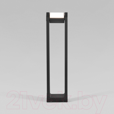 Светильник уличный Elektrostandard Dors F LED 35163/F (черный)