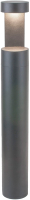 Светильник уличный Elektrostandard Nimbus IP54 35126/F (серый) - 