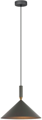 Потолочный светильник Евросвет 50024/1  (серый)