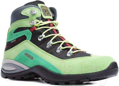 Трекинговые ботинки Asolo Hiking Enforce  GV JR / A24012 A168  (р-р 29, Lime/Black)