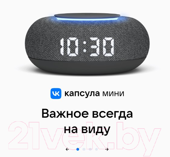 Умная колонка VK Капсула Мини MRC02