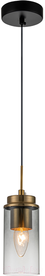 Потолочный светильник ESCADA 2118/1S (Black/Brass)