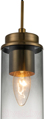 Потолочный светильник ESCADA 2118/1S (Black/Brass)