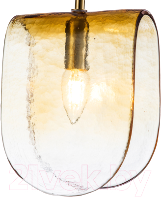 Потолочный светильник Indigo Light Manto V000373