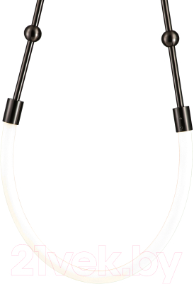 Потолочный светильник Indigo Light Corda V000059L